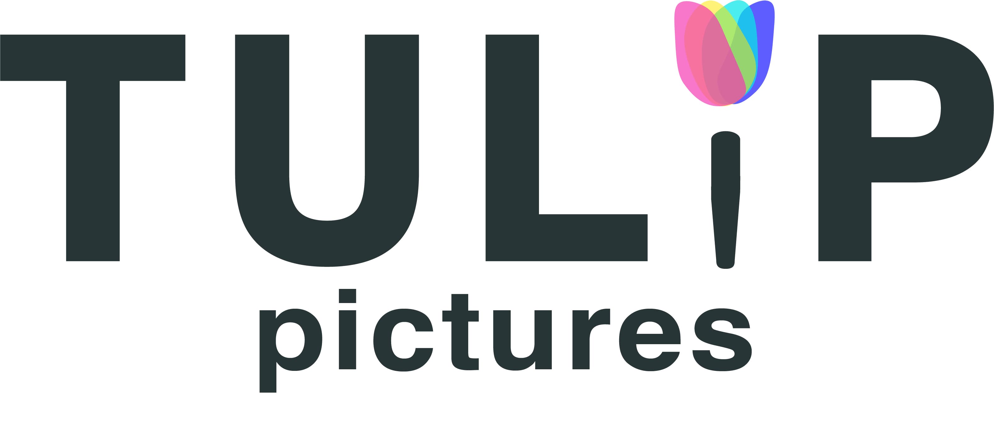 Logo tulip